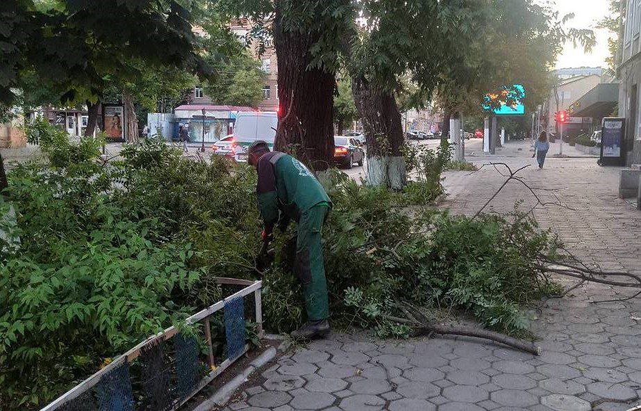 В Одесі повалило понад 70 дерев через шторм (фото) usionline.com В Одесі повалило понад 70 дерев через шторм (фото) «фото»