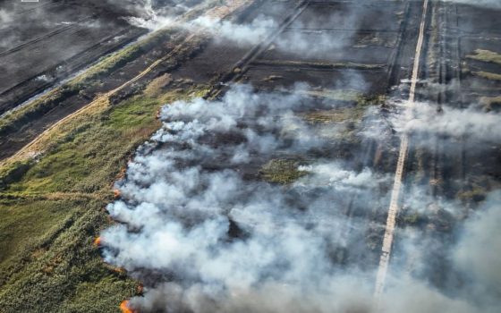 У Пересипському районі Одеси вигоріло 9 гектарів очерету (фото, відео) usionline.com У Пересипському районі Одеси вигоріло 9 гектарів очерету (фото, відео) «фото»