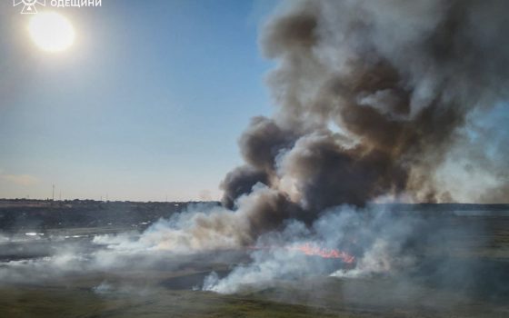 В Одесі масштабна пожежа вирувала 9 годин і знищила 35 га очерету, – шкода довкіллю колосальна «фото»