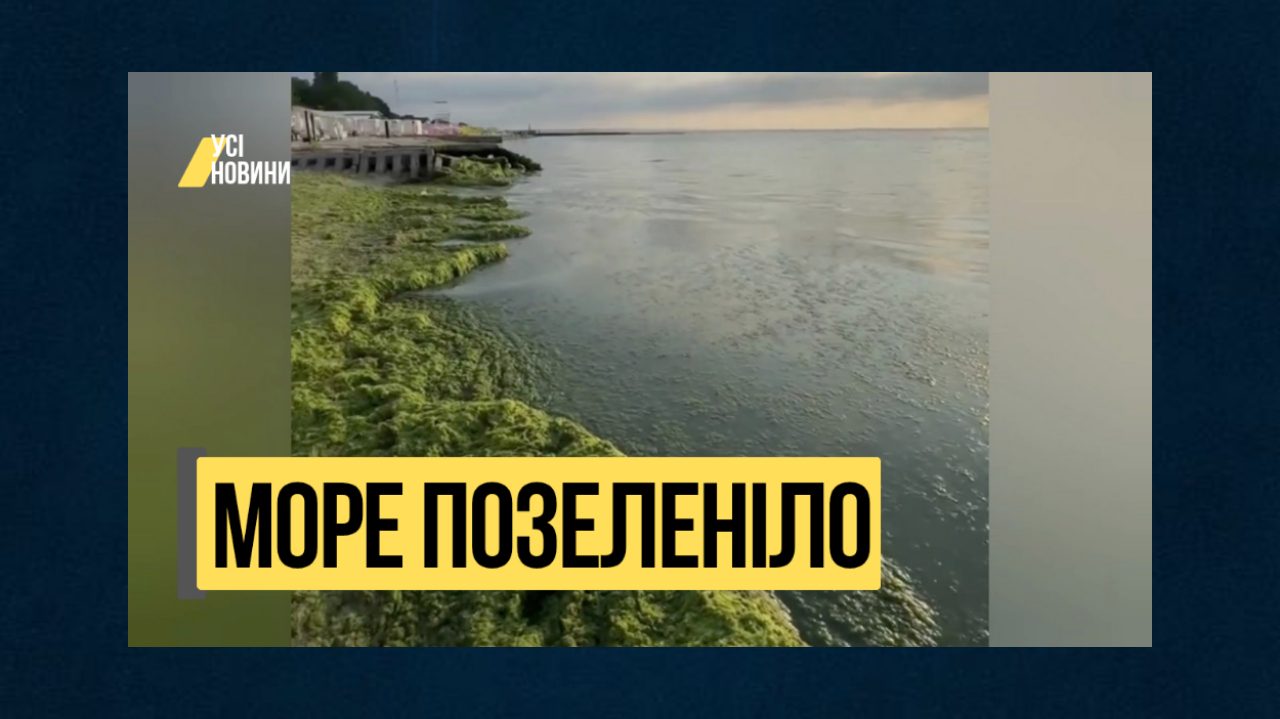 Одеське море стало зеленим (відео) «фото»