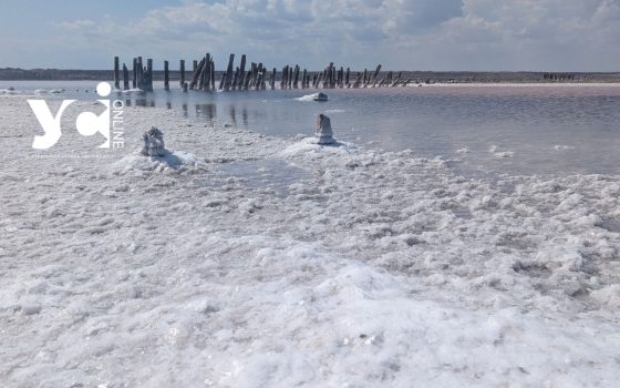 Куяльницький лиман висихає: мешканці збирають підписи за його порятунок «фото»
