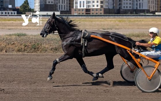 В Одесі пройшли кінноспортивні змагання для ветеранів (фото) «фото»