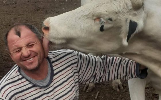 В одеському селі подружжя розвиває велику ферму з музеєм (фото) «фото»