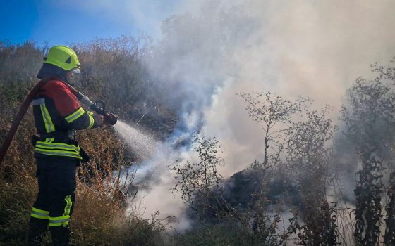 На Одещині загасили масштабну лісову пожежу біля Цебрикового «фото»