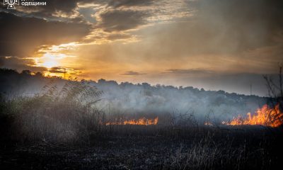 Пожежа знищила понад 7 гектарів у нацпарку «Тузлівські лимани» usionline.com Пожежа знищила понад 7 гектарів у нацпарку «Тузлівські лимани» «фото»