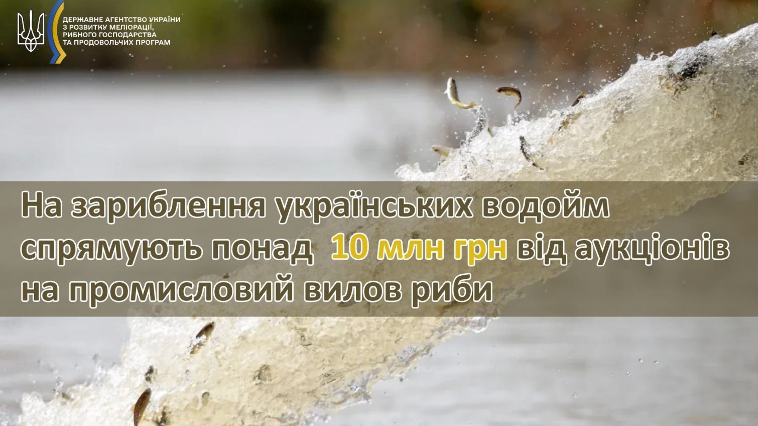 На зариблення водойм Одеської області спрямують понад 3,6 млн гривень usionline.com На зариблення водойм Одеської області спрямують понад 3,6 млн гривень «фото»