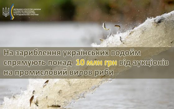 На зариблення водойм Одеської області спрямують понад 3,6 млн гривень «фото»