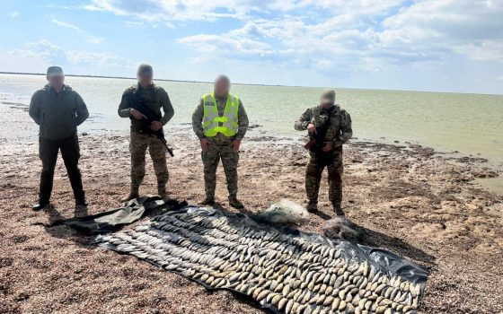 У нацпарку на Одещині браконьєр виловив кефалі на понад 8 мільйонів гривень (фото) «фото»