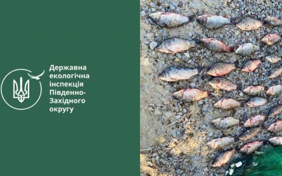 На Дністровському лимані браконьєр вполював лящів та карасів на майже 60 тисяч гривень «фото»