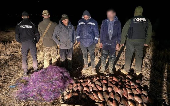 На озері Ялпуг спіймали браконьєра з 10 сітками і майже сотнею рибин (фото) «фото»
