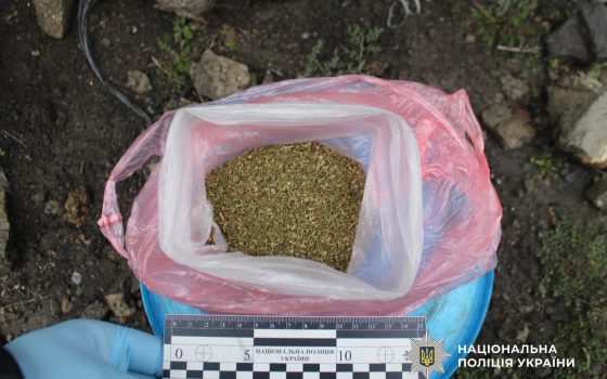 Рецидивіст з Арцизької громади торгував канабісом: йому світить 6 років (фото) «фото»