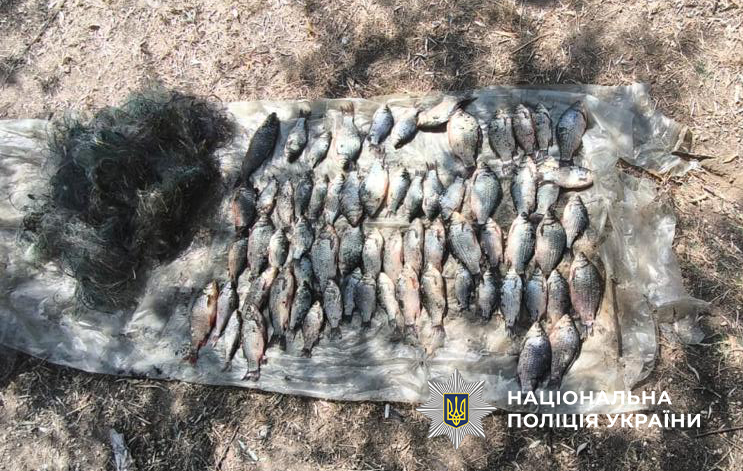 На Одещині браконьєр наловив сазана, плоскирки та тарані на 100 тисяч гривень (фото) «фото»