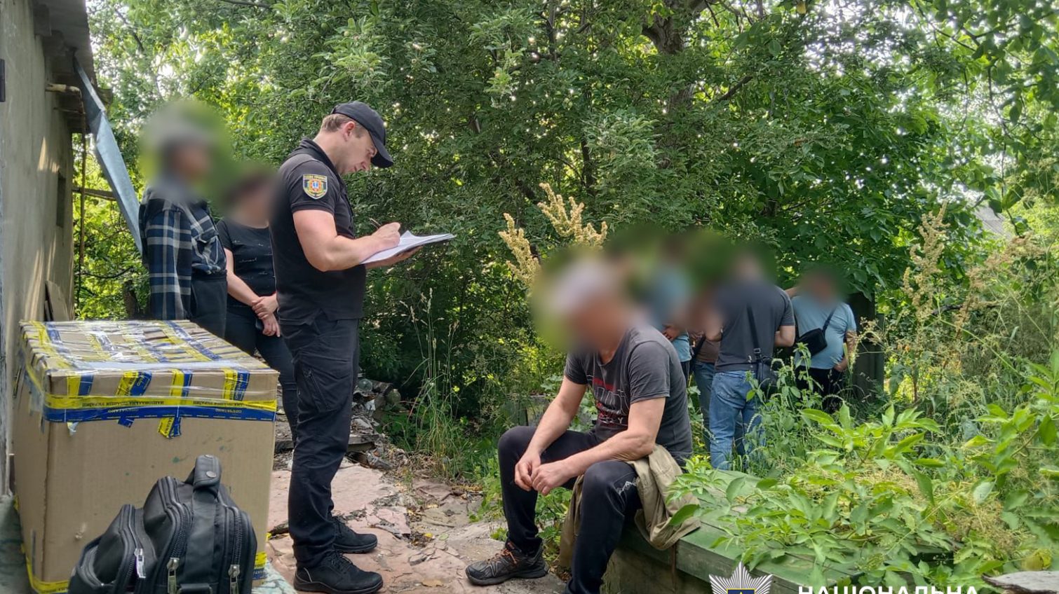 Чоловік вдома виростив майже пів тисячі кущів конопель: його затримали та будуть судити (фото, відео) «фото»