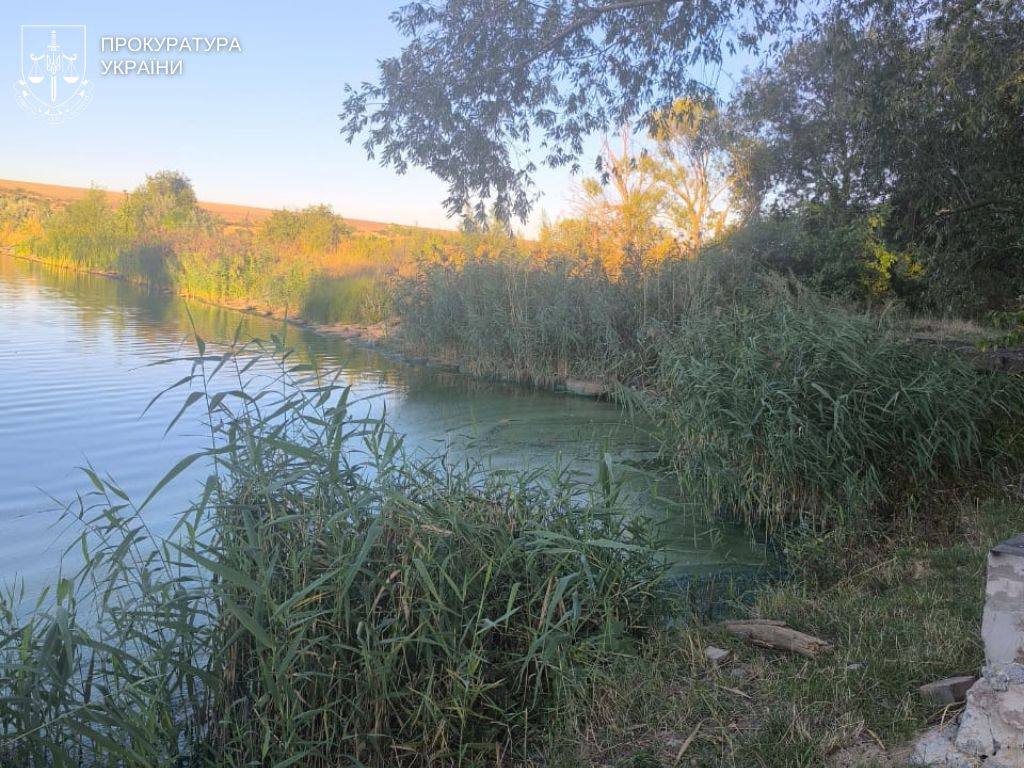Кілька ставків у Любашівському районі повернули громаді «фото»