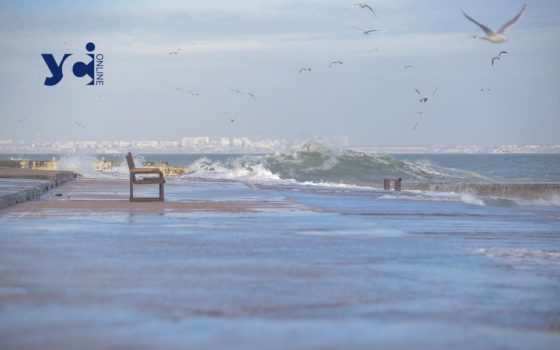 Наприкінці вересня різко похолодає: на заході випаде сніг, а на півдні литимуть дощі «фото»