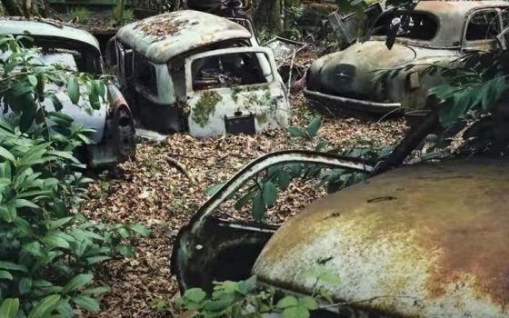 В Одесі беруться за покинуті автівки: як це працюватиме «фото»