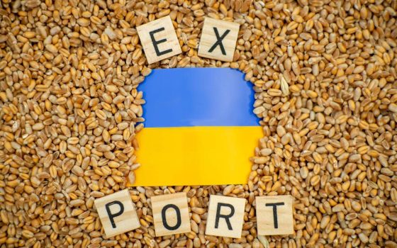 Одещина скоротила експорт і наростила імпорт товарів – Держстат «фото»