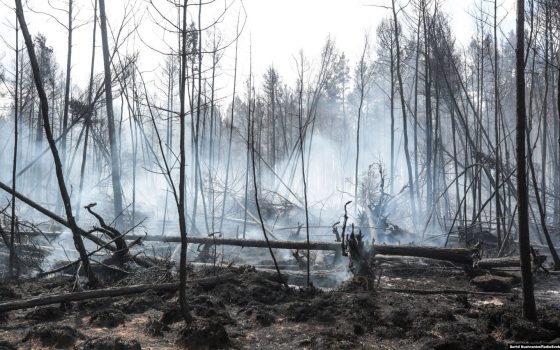 Збитки довкіллю України від війни, розв’язаною РФ, перевищили 5,8 трлн гривень «фото»