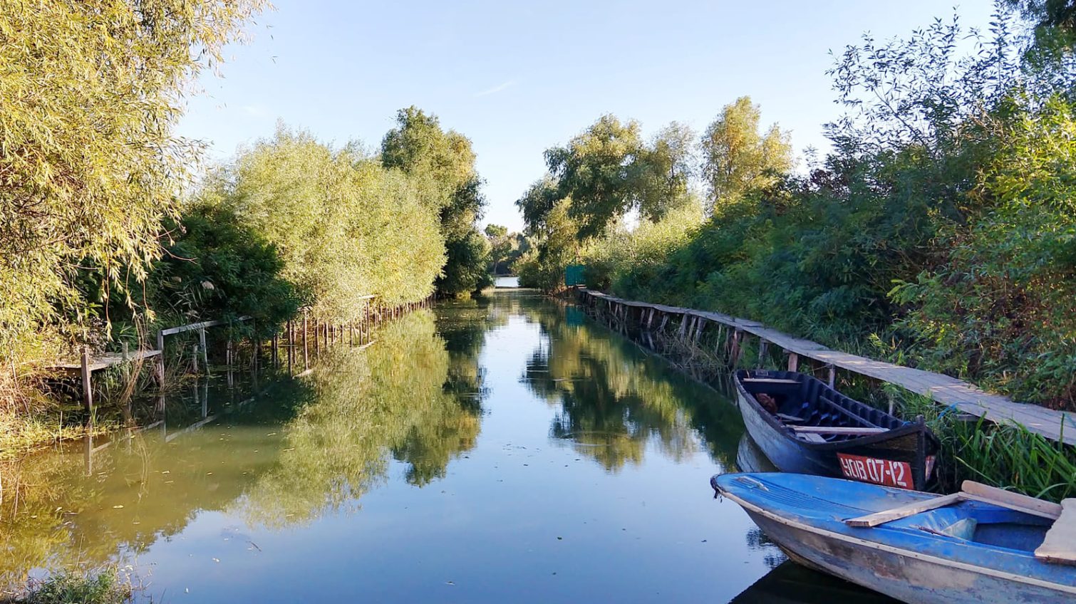 <strong>«</strong><strong>Замор риби»: небезпечне забруднення води зафіксували екологи у Вилковому</strong> usionline.com <strong>«</strong><strong>Замор риби»: небезпечне забруднення води зафіксували екологи у Вилковому</strong> «фото»