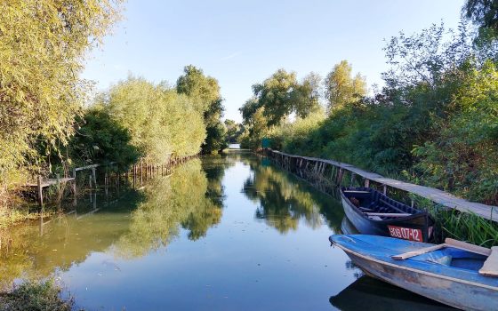 <strong>«</strong><strong>Замор риби»: небезпечне забруднення води зафіксували екологи у Вилковому</strong> usionline.com <strong>«</strong><strong>Замор риби»: небезпечне забруднення води зафіксували екологи у Вилковому</strong> «фото»