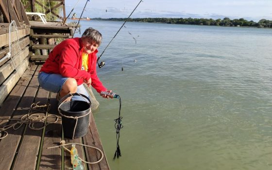 Осіннє обстеження водних біоресурсів Одещини: що виявили вчені (фото) «фото»
