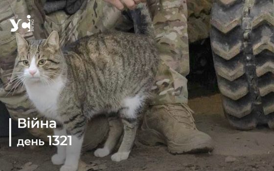 Війна. День 1321 коротко про головне (ОНОВЛЮЄТЬСЯ) «фото»