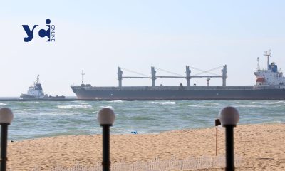 Україна експортувала за кордон понад 8 млн тонн зерна та борошна «фото»