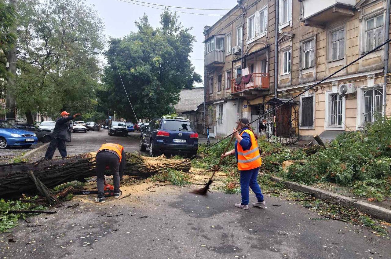 В Одесі буревій повалив 70 дерев ( фото) «фото»