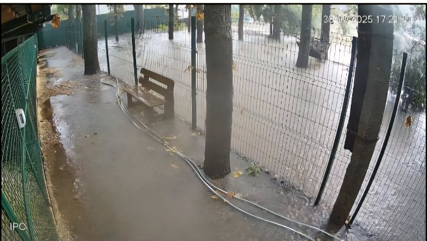 В Одесі негода дісталася й до притулку для тварин — заклад затопило (фото) «фото»