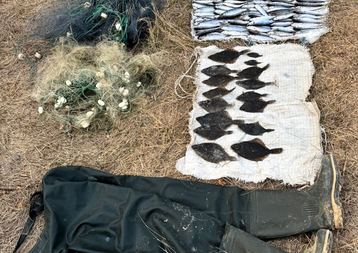 У Тузлівських лиманах затримали браконьєра з уловом на понад 3,6 мільйона гривень «фото»