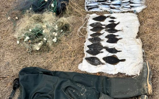 У Тузлівських лиманах затримали браконьєра з уловом на понад 3,6 мільйона гривень «фото»