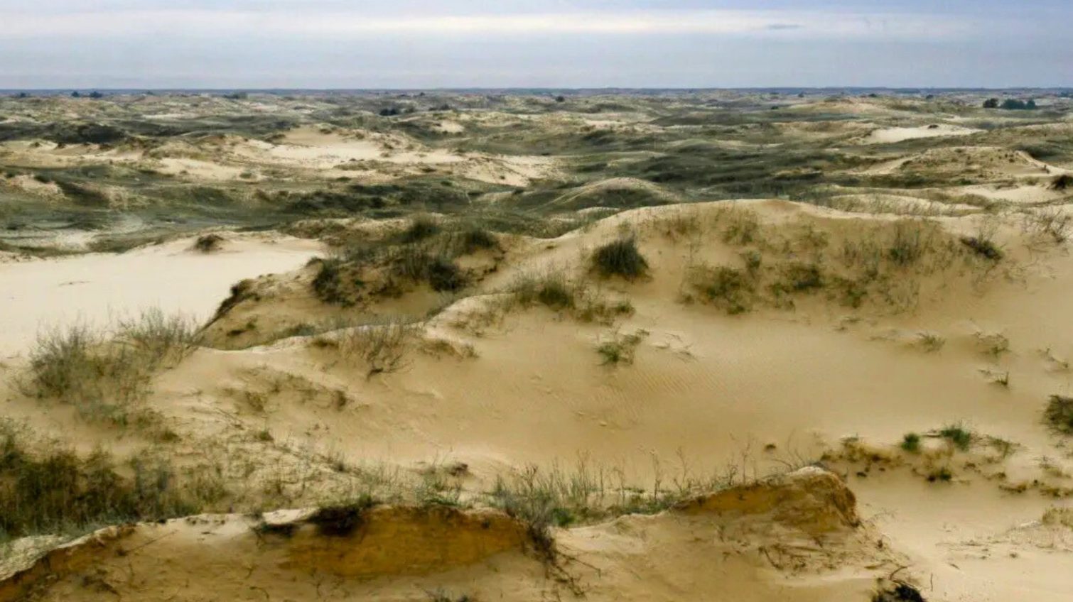 Південь України на межі опустелювання usionline.com Південь України на межі опустелювання «фото»