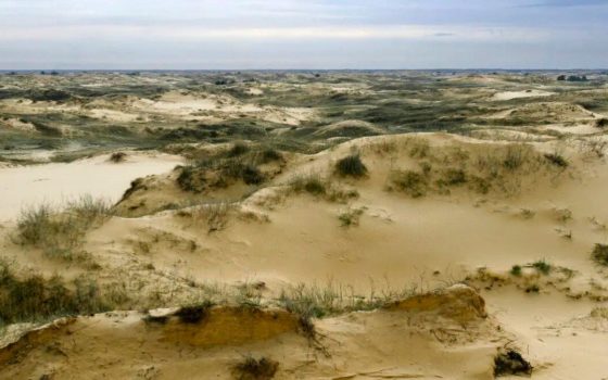 Південь України на межі опустелювання usionline.com Південь України на межі опустелювання «фото»