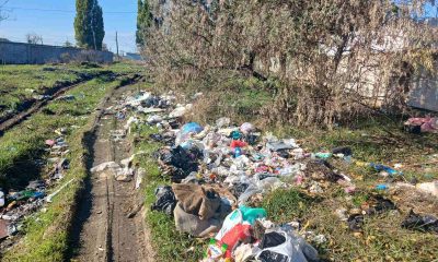 В Одесі на вулиці Хуторській виявили велике стихійне сміттєзвалище (фото) «фото»