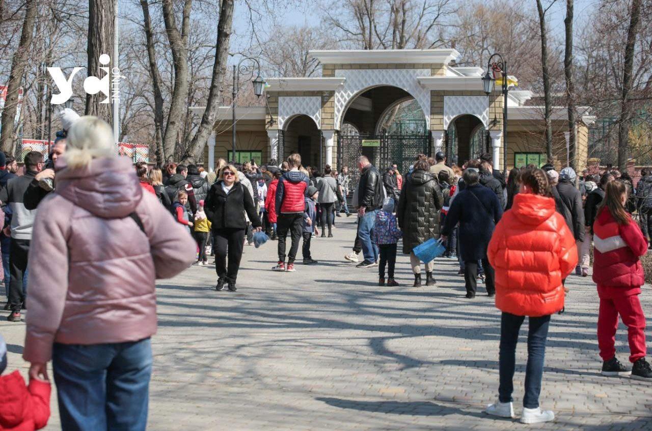 В одеському зоопарку замінять систему опалення за майже 5 мільйонів usionline.com В одеському зоопарку замінять систему опалення за майже 5 мільйонів «фото»