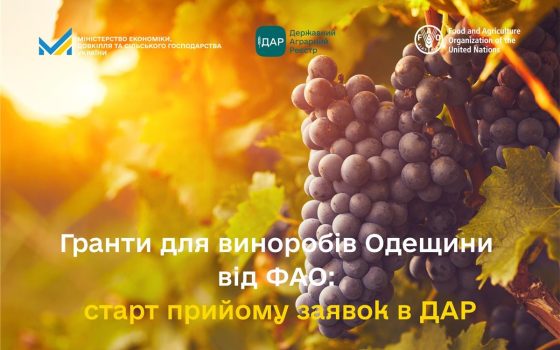 Малі винороби Одещини можуть отримати гранти за підтримки уряду Італії usionline.com Малі винороби Одещини можуть отримати гранти за підтримки уряду Італії «фото»
