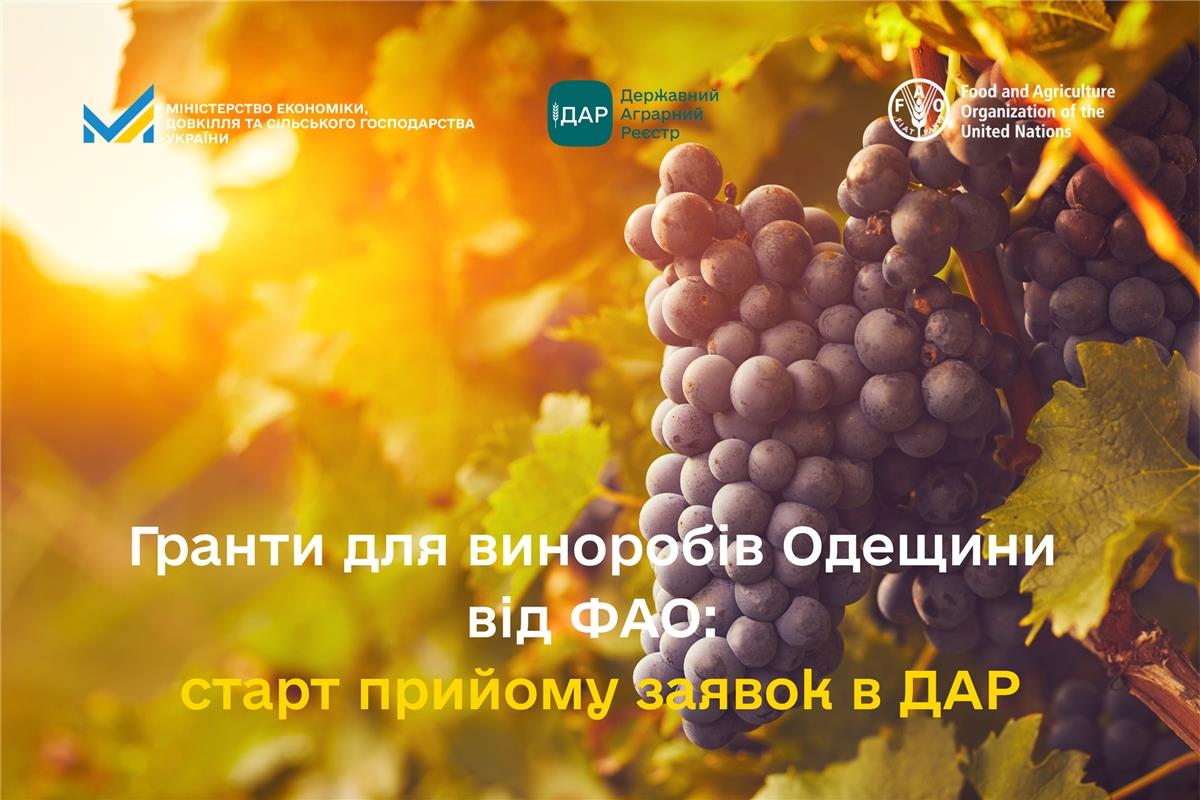 Малі винороби Одещини можуть отримати гранти за підтримки уряду Італії usionline.com Малі винороби Одещини можуть отримати гранти за підтримки уряду Італії «фото»