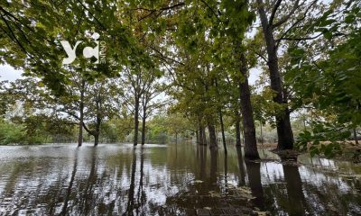 В Одесі після зливи парк на 411 батареї перетворився на озеро (фото) «фото»