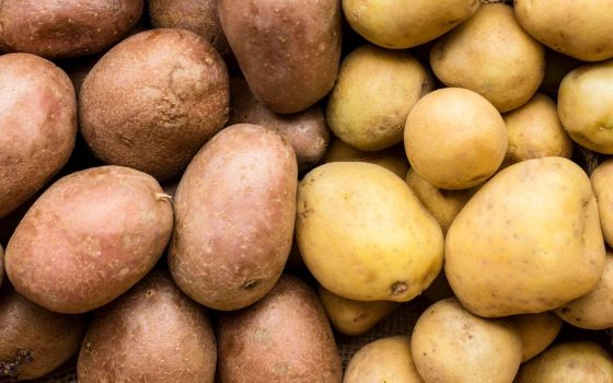 В Україні можливий дифіцит картоплі usionline.com В Україні можливий дифіцит картоплі «фото»