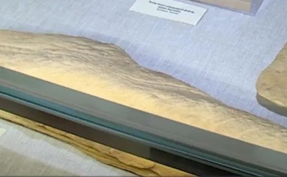 Розвідники показали десятки українських культурних цінностей, що вкрали росіяни (фото) usionline.com Розвідники показали десятки українських культурних цінностей, що вкрали росіяни (фото) «фото»