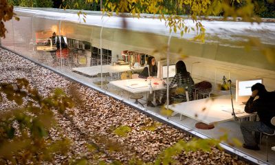 На півдні України встановлять сучасні модульні офіси для лісничих «фото»