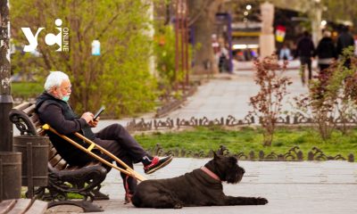 Третина українських пенсіонерів отримують 69 євро пенсії «фото»