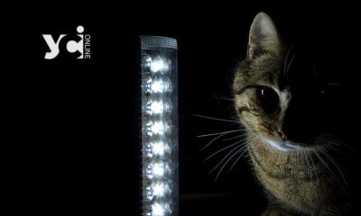 На Одещині через нічну атаку 8.7 тис. абонентів залишаються без світла «фото»