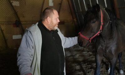 Врятував Джафара, Ігорька і Прагу: херсонець пішки вивів трьох коней з-під російського обстрілу (фото) «фото»