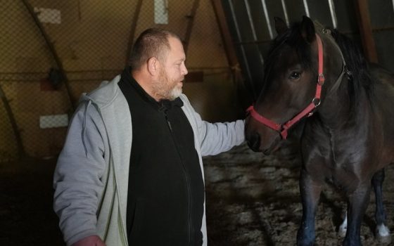 Врятував Джафара, Ігорька і Прагу: херсонець пішки вивів трьох коней з-під російського обстрілу (фото) «фото»