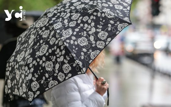 Не забувайте парасольки – в Одесі та області дощитиме весь день «фото»