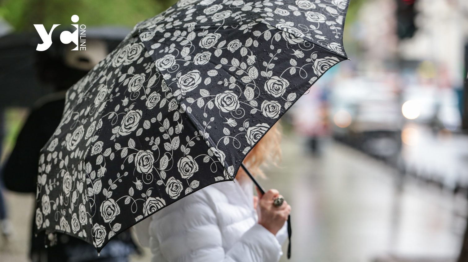 Не забувайте парасольки – в Одесі та області дощитиме весь день «фото»