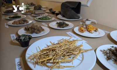 Стеблини соняшника та солома: в Одесі показали, що їли за часів Голодомору (фото) «фото»