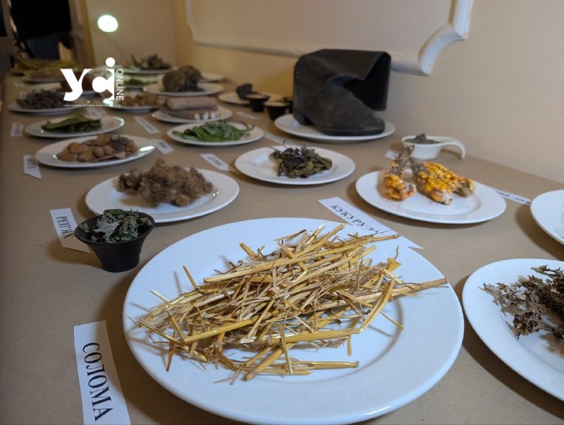 Стеблини соняшника та солома: в Одесі показали, що їли за часів Голодомору (фото) «фото»