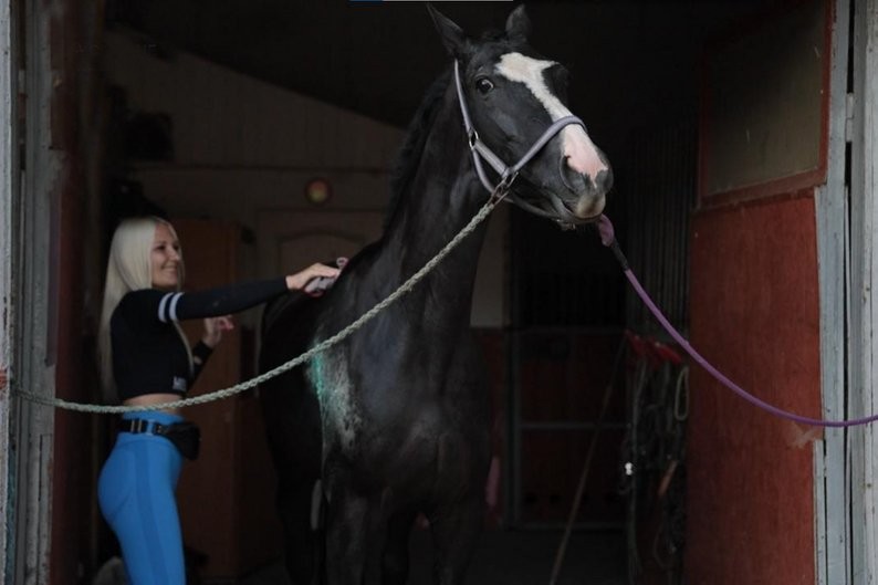Кобила на прізвисько Сігма, яка постраждала під час російської атаки, майже повністю відновилася (відео) «фото»
